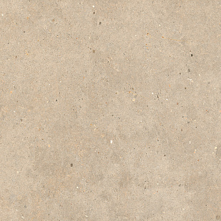 Gold Catalan SP EY09