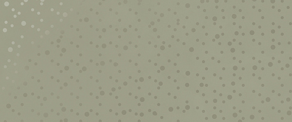Керамическая плитка MIRAGE Земля / TERRAE 50x120 Дождь / TA 04 Rain