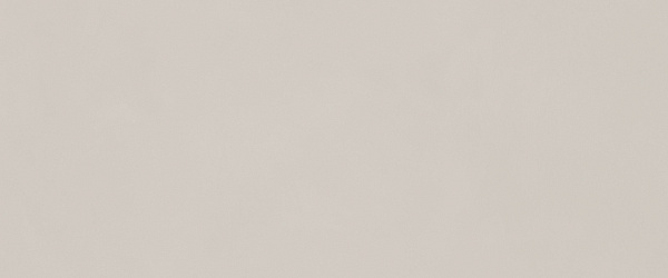 Керамическая плитка MIRAGE Земля / TERRAE 50x120 TA 03