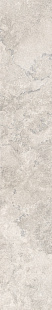 NV 01 SP SQ