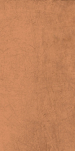 Pumpkin SP SQ LY08