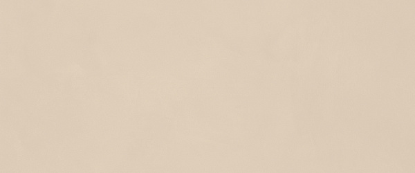 Керамическая плитка MIRAGE Земля / TERRAE 50x120 TA 02