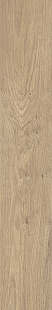 Hazelnut KA 02 SP
