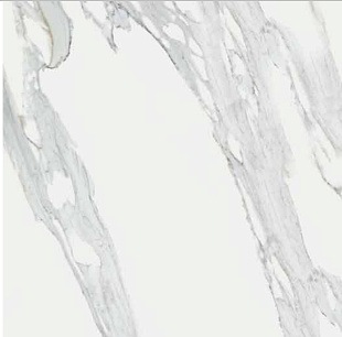 calacatta reale JW 02 LUC