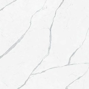 JL01 Statuario Fine SP SQ