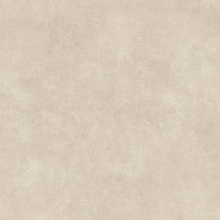 GINGER SP SQ GC 10