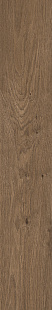 Cocoa KA 05 SP