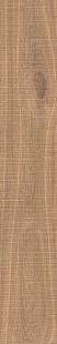 Spice Raw KA 14 SP