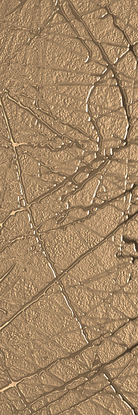 Керамогранит MIRAGE Отражение / REFLET 20x60 RF 03 Sketch