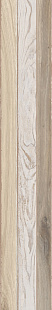 Carmen GY 01 SP SQ Carmen GY 01 SP SQ