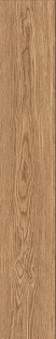 IZ 04 SP SQ