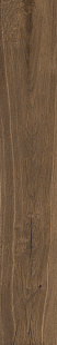 Cocoa KA 05 SP