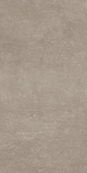 Керамогранит MIRAGE Реджеа / REGEA 60x119,7 RA 12 SP SQ