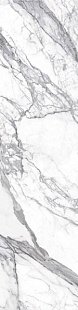 bianco lunensis JW 12 luc sq bianco lunensis JW 12 luc sq