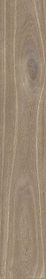 Caramel KA 03 SP