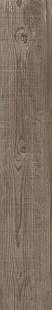 HORSE GY 03 SP SQ HORSE GY 03 SP SQ