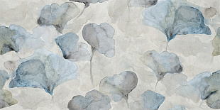 Nuages SP