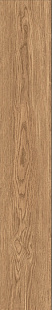 IZ 04 SP SQ