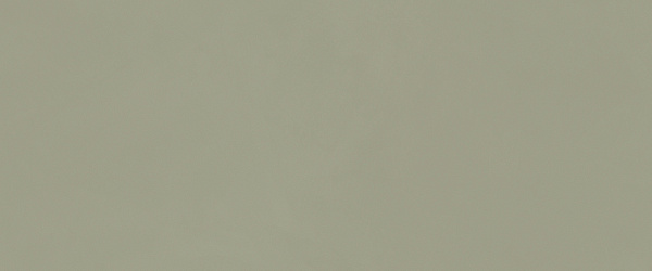 Керамическая плитка MIRAGE Земля / TERRAE 50x120 Grayed Jade TA 04