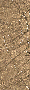 Aurore Sketch RF 03 BOCCIARDATA