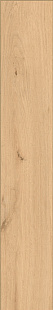 Chiaro Classico IZ 02 SP SQ Chiaro Classico IZ 02 SP SQ