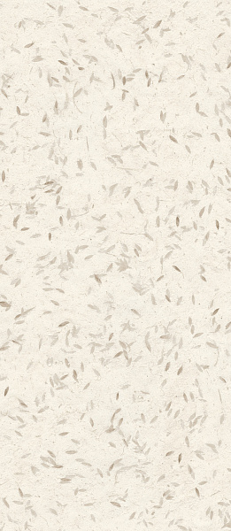 Керамогранит MIRAGE Бумага / PAPIER 120x278 Hanji Beige SP