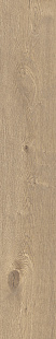 Hazelnut KA 02 SP