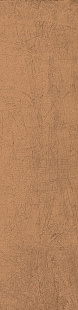 Pumpkin SP SQ LY08