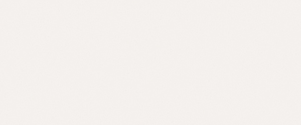 Керамическая плитка MIRAGE Земля / TERRAE 50x120 TA 01