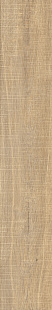 Hazelnut Raw KA 12 SP