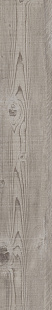 MAP GY 04 SP SQ MAP GY 04 SP SQ