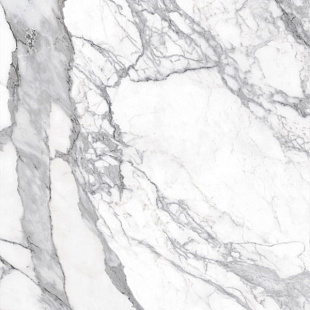 bianco lunensis JW 12 luc sq bianco lunensis JW 12 luc sq