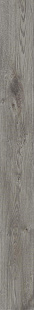 MAP GY 04 SP SQ MAP GY 04 SP SQ