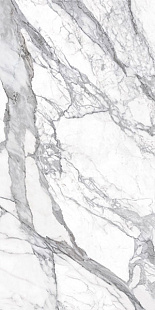 bianco lunensis JW 12 LUC SQ bianco lunensis JW 12 LUC SQ