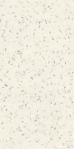 Керамогранит MIRAGE Бумага / PAPIER 60x120 Hanji Green SP SQ