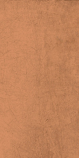 Pumpkin SP SQ LY08