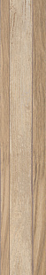 Carmen GY 02 SP SQ Carmen GY 02 SP SQ